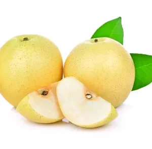 Shada Nashpati (Pear White)