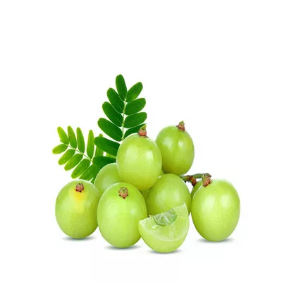 Amloki (Amla)