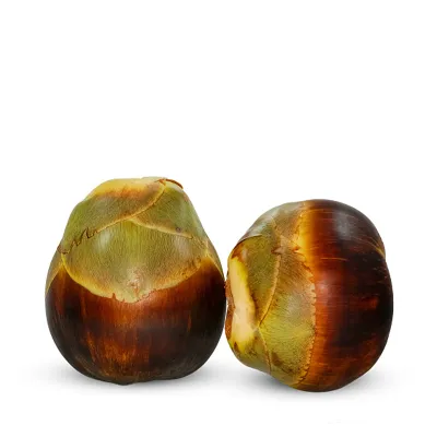 Palm Fruit (taal)