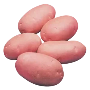 Lal Alu (Red Potato Cardinal)
