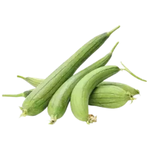 Dhundhul (Sponge Gourd)
