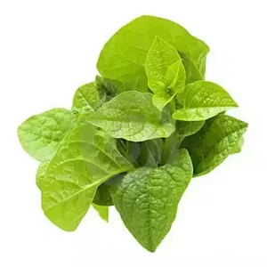 Pui Shak (Pui Spinach)