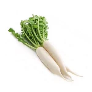 Mula (Radish)