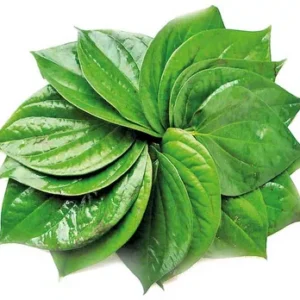 Paan (Betel Leaf)