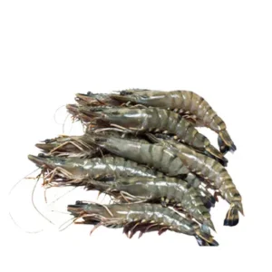Bagda Chingri (Shrimp) 35-50 pcs