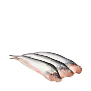 Pabda Fish