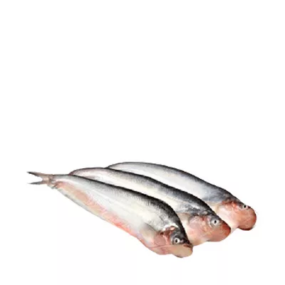 Pabda Fish