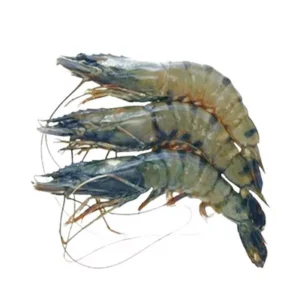 Bagda Chingri (Shrimp) 18-22 pcs