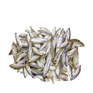 Mola Fish Deshi.
