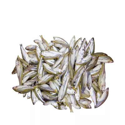 Mola Fish Deshi.