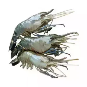 Golda Chingri (Shrimp) 16-20 pcs