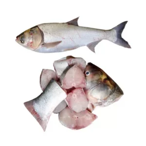 Silver Carp Fish After Cutting