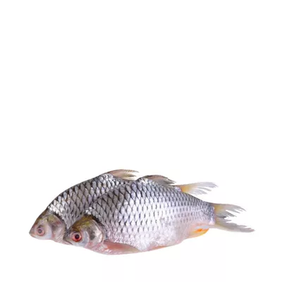 Deshi Sarputi Fish