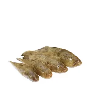 Baila Fish Medium