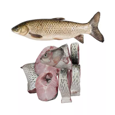 Grass Carp Fish After Cutting