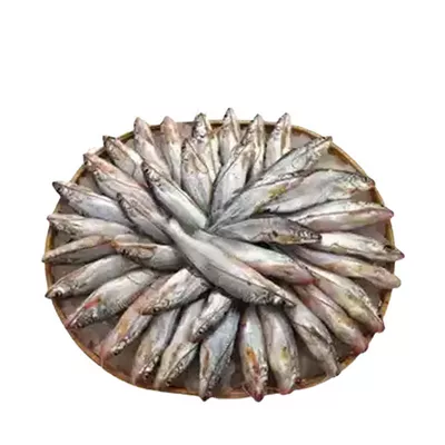 Gulsha Fish Medium