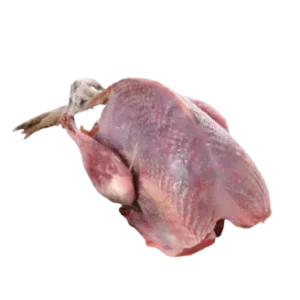 Pigeon Meat