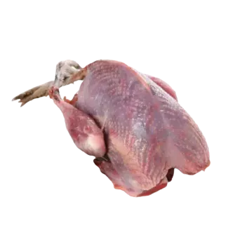 Pigeon Meat