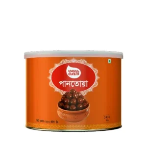 Aarong Dairy Pantoa