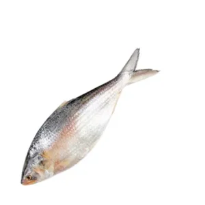 Whole Hilsha Fish (Asto Ilish)