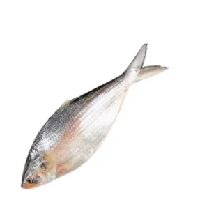 Whole Hilsha Fish (Asto Ilish)